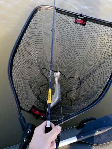 SPORTEX Přívlačový prut Black Pearl GT-3 2-díl 240cm / 40g