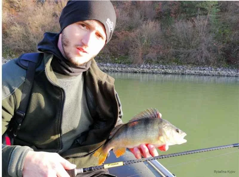 SPORTEX Přívlačový prut Black Pearl GT-3 2-díl 240cm / 40g
