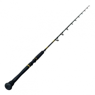 Přívlačový prut na moře Sportex MAGNUS Inliner 2-díl délka 240cm / 50lbs